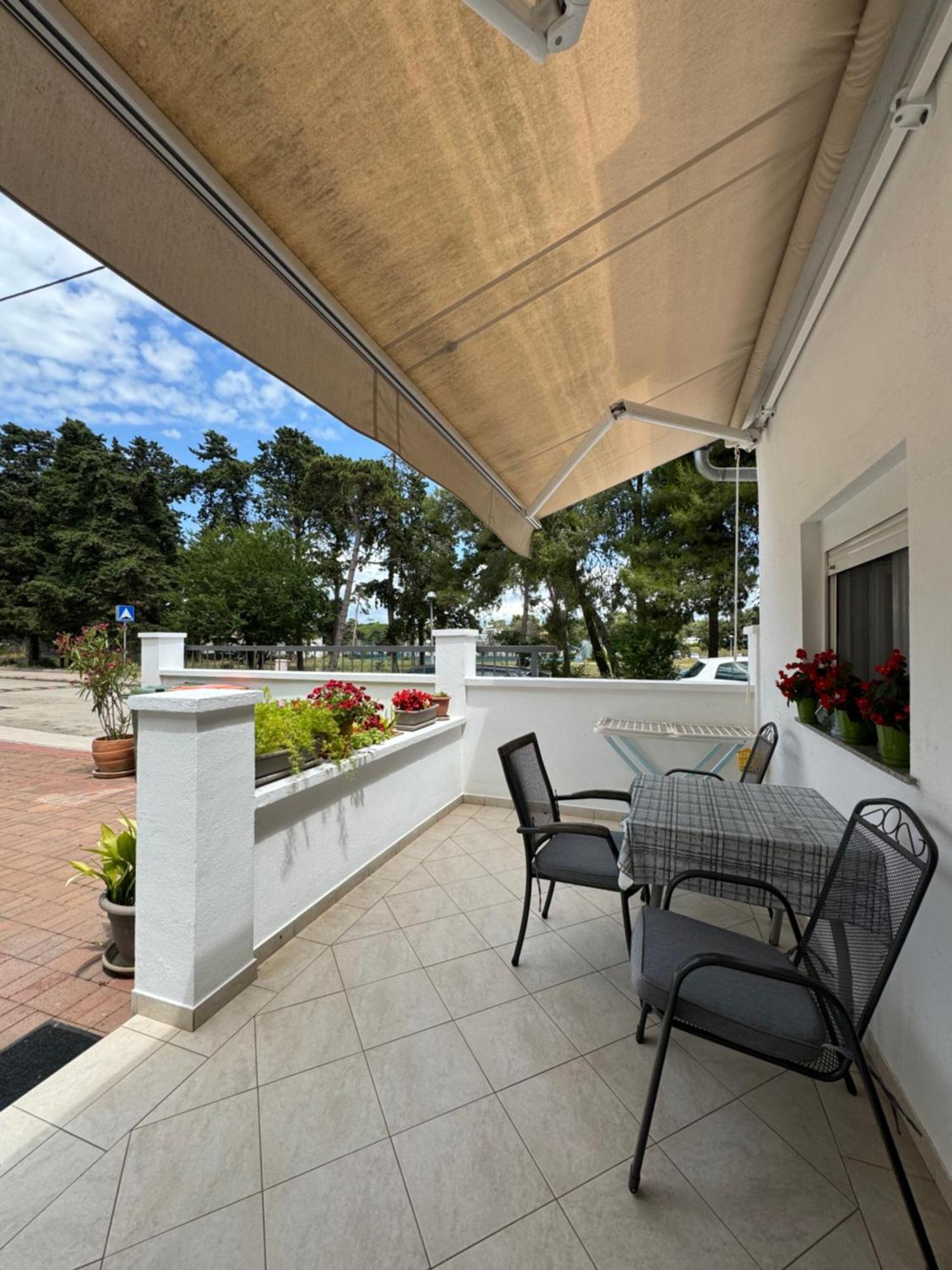 Studio Apartments With Terrace Near Sea - Angela'S Apartments Zadar Dış mekan fotoğraf